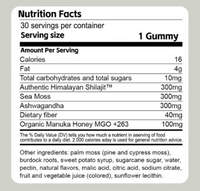 Shilajit 3-in-1 Gummies for Men